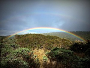 Double Rainbow by Beth Kattleman (Large)