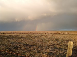 Rainbow in a hailstorm by Linda Bostwick