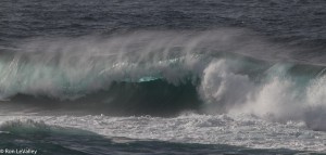 A Colorful Wave by Ron LeValley