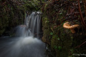 A rare sighting - a waterfall by Craig Tooley