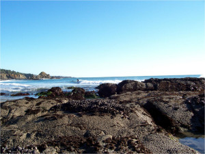 Surfer at Anchor Bay Beach by Eric Anderson