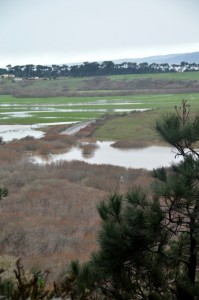 The Garcia River floods Highway One by Rozann Grunig