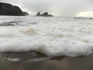 Foam covers the beach by Dede Plaisted