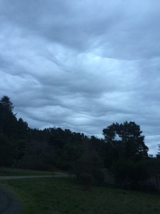 Unusual clouds by Michael Alexander