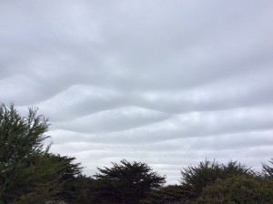 Unusual clouds by Shirley Mitchell