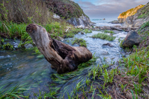 A Seasonal creek by Craig Tooley