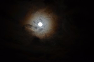 Feb. 23 Full Moon by Rozann Grunig