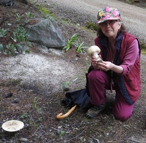 Irma Brandt with Gemmed Amanita, Amanita gemmata by Jeanne Jackson