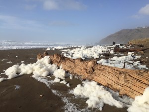 Sea Foam at Mancheser Beach by Dave Shpak