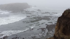 Very low tide and Gualalal Point Island by Nancy Padgett