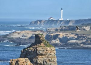 Canada geese nesting off the Point Arena-Stornetta Lands by Michael Beattie