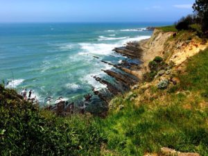 View from the southern end of the Point Arena-Stornetta Lands by Beth Kattleman