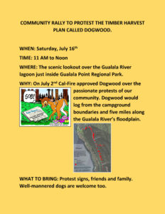 COMMUNITY RALLY TO PROTEST THE TIMBER HARVEST PLAN CALLED DOGWOOD - yellow!