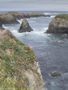 Mendocino Headlands by Ron LeValley