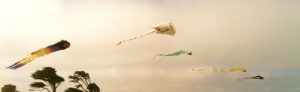 Kites fill the air by Margaret Lindgren