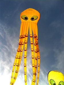 Octopus Kites by Margaret Lindgren (Medium)
