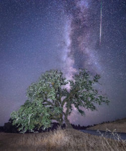 Perseid Meteor Shower and the Milky Way by Paul Kozal