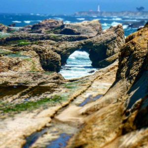 The arched rocks at the Point Arena-Stornetta Lands by Margaret Lindgren