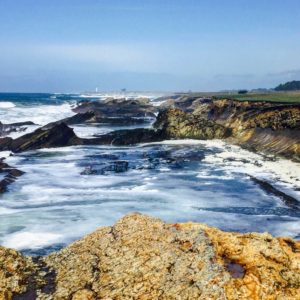 The bluffs at the Point Arena-Stornetta Lands by Margaret Lindgren