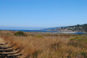 Gualala Point Regional Park by Jeanne Jackson