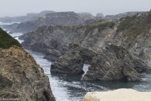 mendocino-headlands-by-ron-levalley