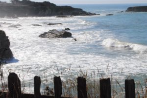 Pacific Ocean seen from Gualala Point Park by jeanne Jackson