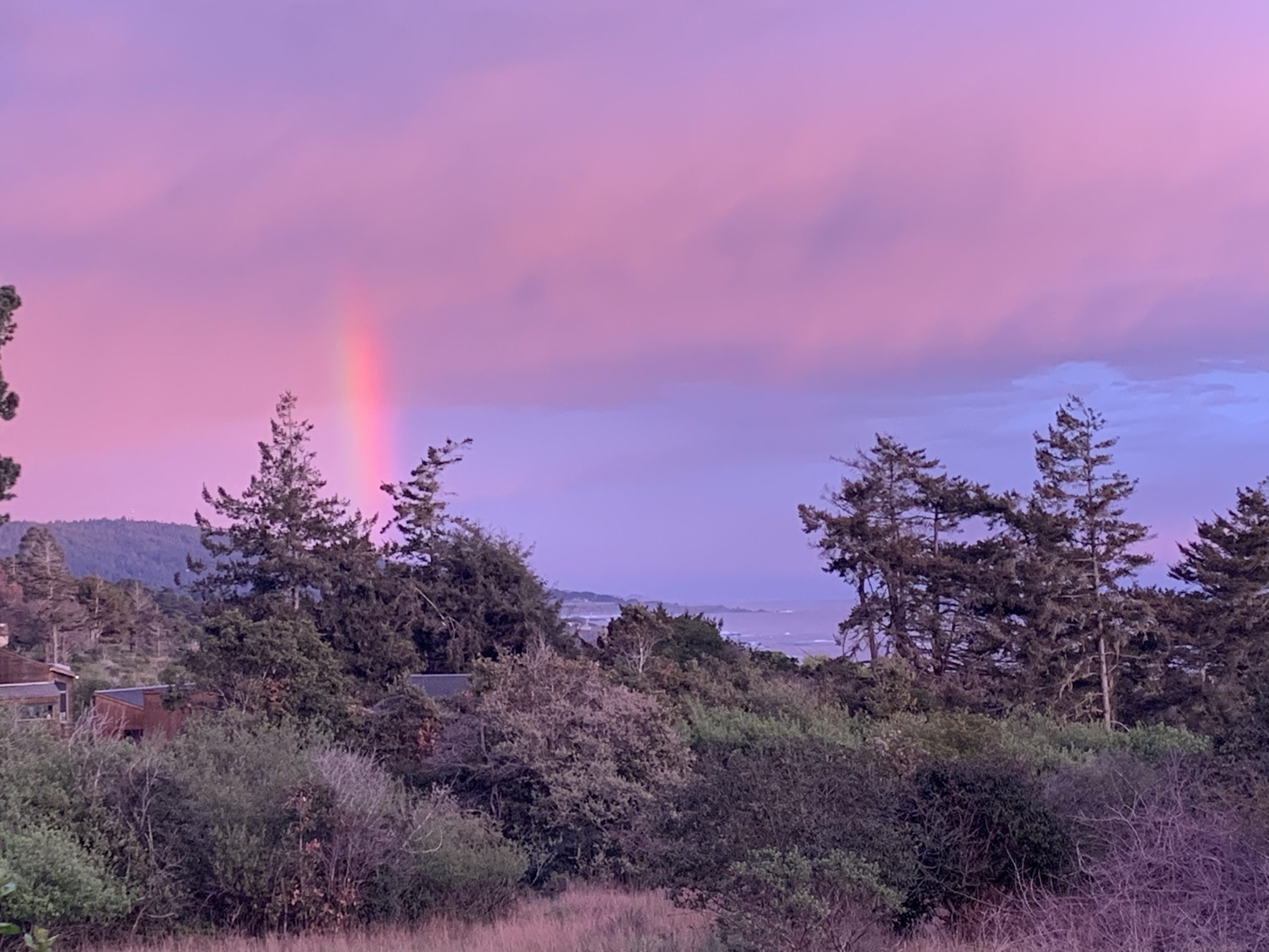 what do sun dogs look like