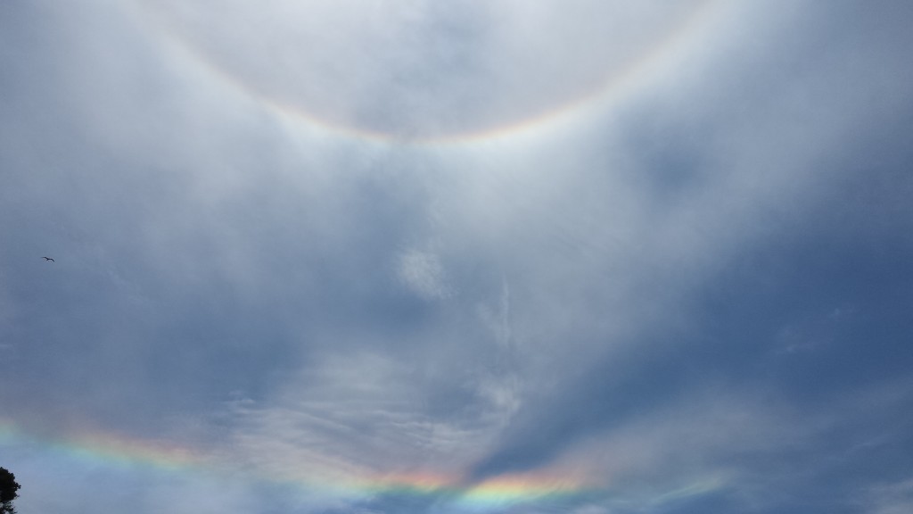 A rare fire rainbow appeared in May. – Mendonoma Sightings