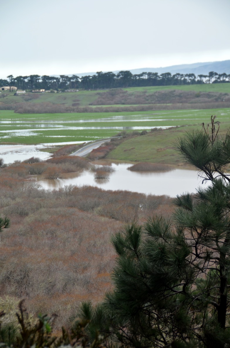 road closures, flooding, Garcia River